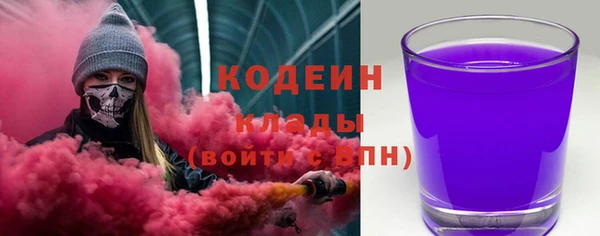 прущие грибы Нея