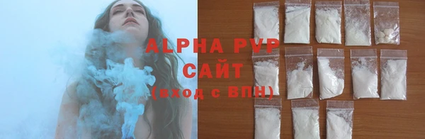 амф Новодвинск
