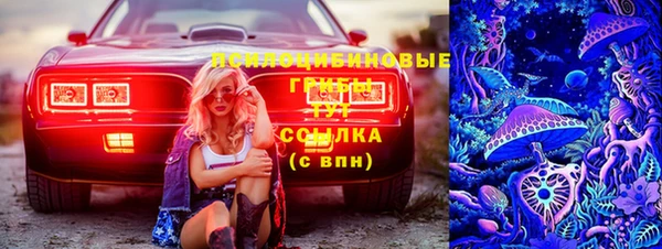 амф Новодвинск