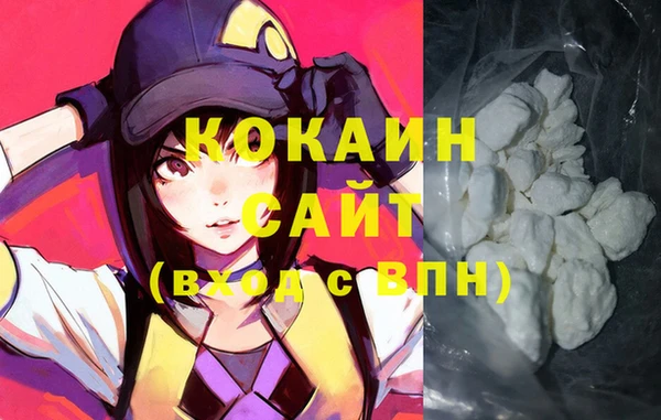 амф Новодвинск