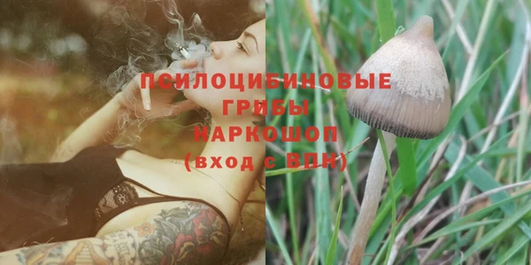 амф Новодвинск