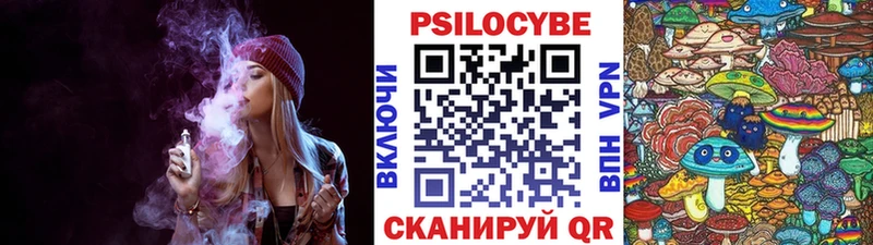 Псилоцибиновые грибы Psilocybe  магазин    Нарьян-Мар 