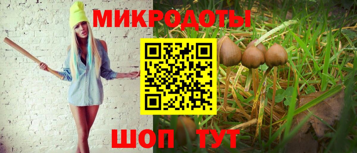 Галлюциногенные грибы мицелий  что такое наркотик  Нарьян-Мар  Вход с VPN 